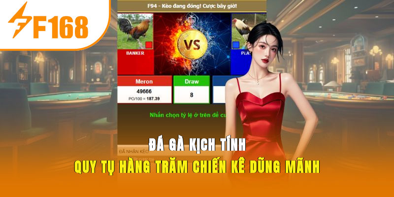 Đá gà kịch tính - Quy tụ hàng trăm chiến kê dũng mãnh