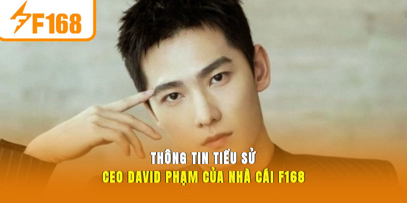 Thông tin tiểu sử CEO David